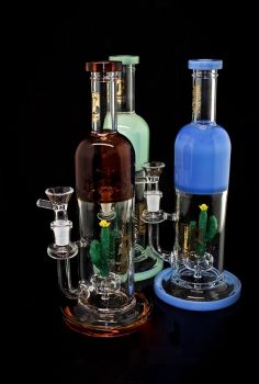 Straight Stem Stylist With Cactus Perc Water Pipe 12 Inch